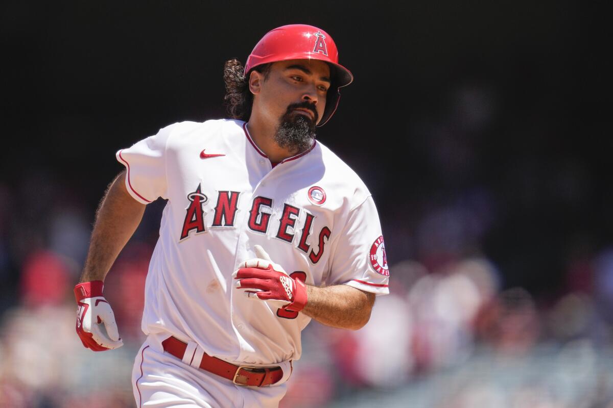 Angels third baseman Anthony Rendon circles the bases after hitting a home run.