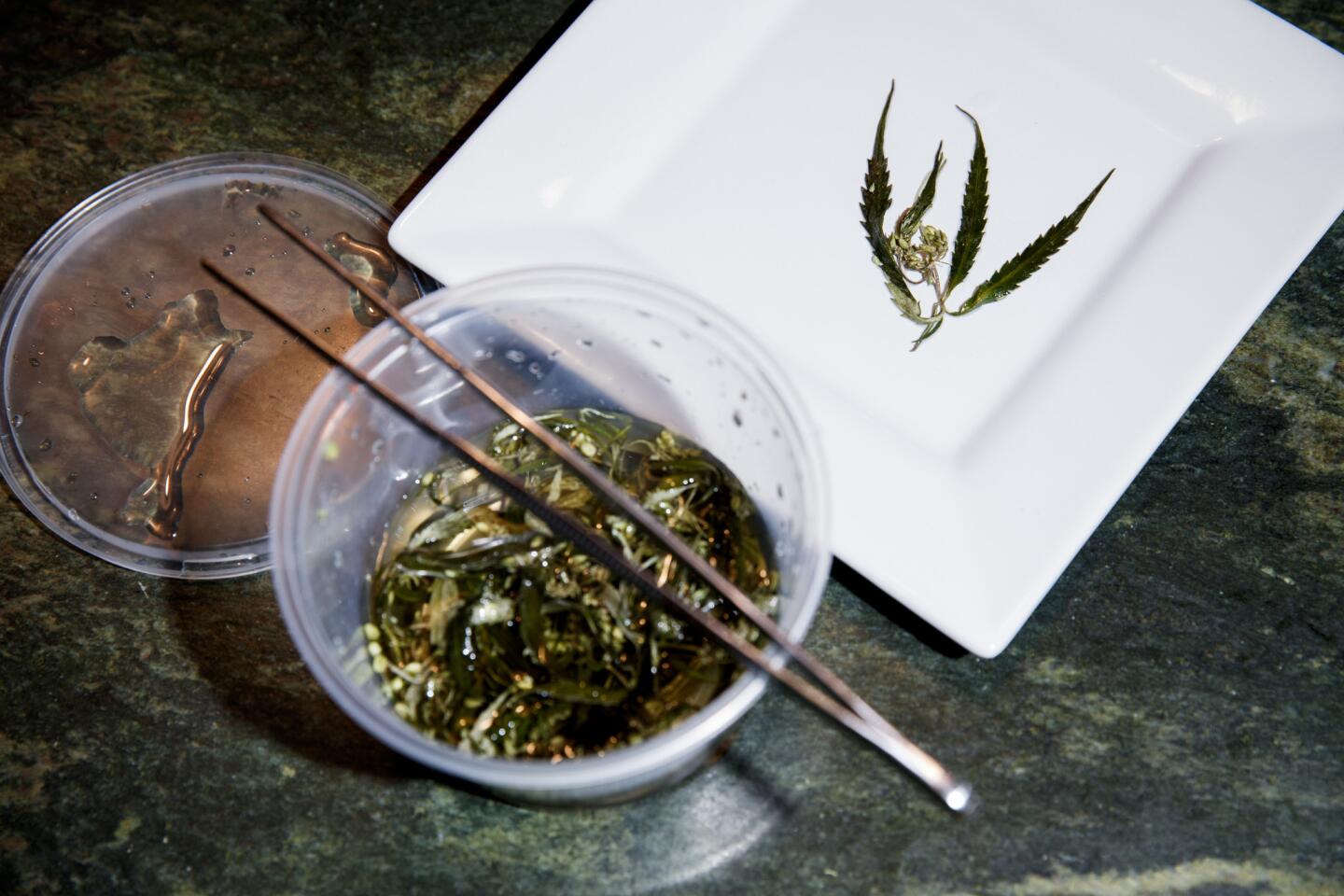 Chef Holden Jagger displays a pickled marijuana leaf before making a dinner showcasing the plant as an ingredient in multiple courses.