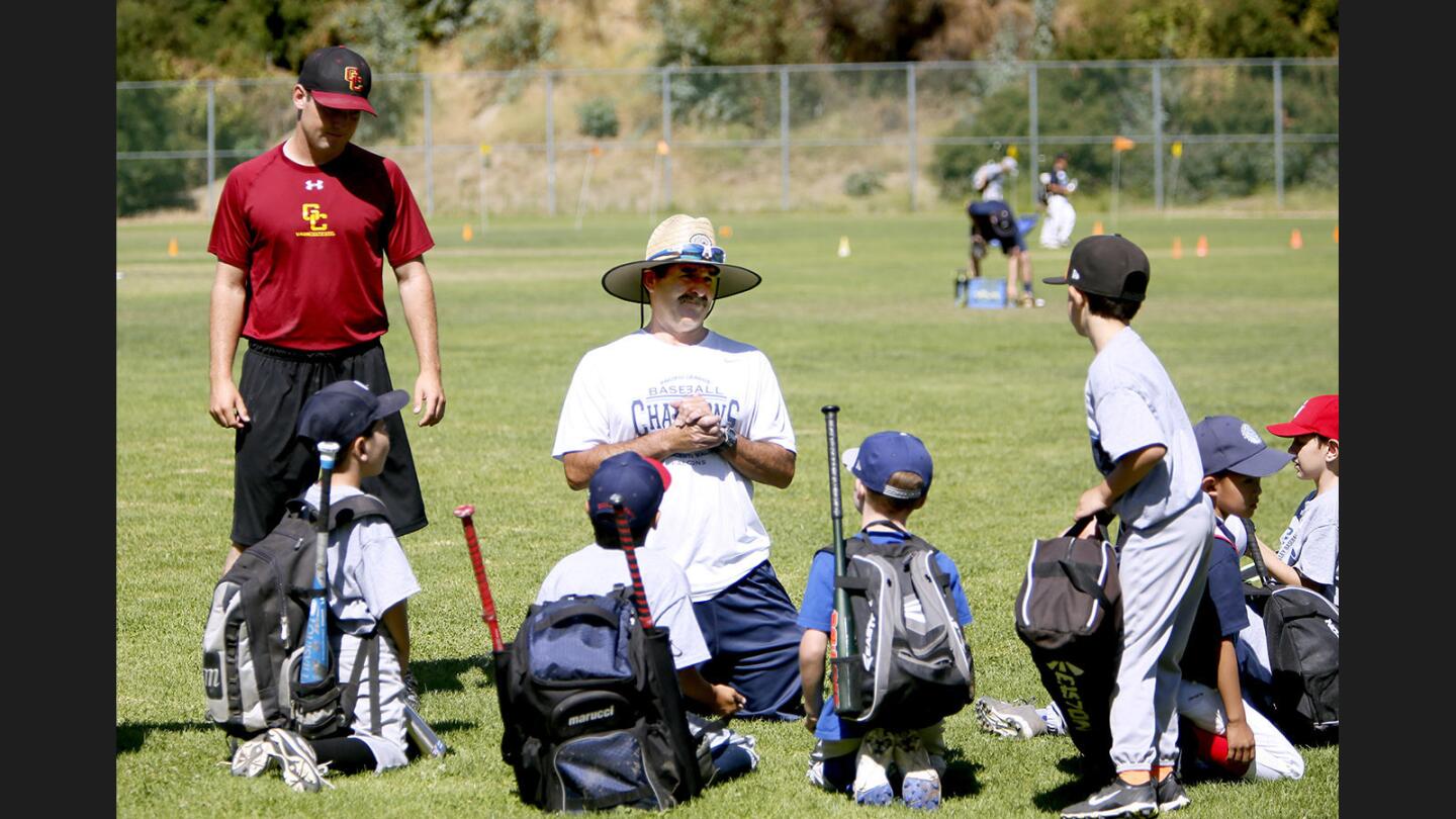 Photo Gallery: Annual Summer tradition Falcon Baseball Camp at Stengel Field