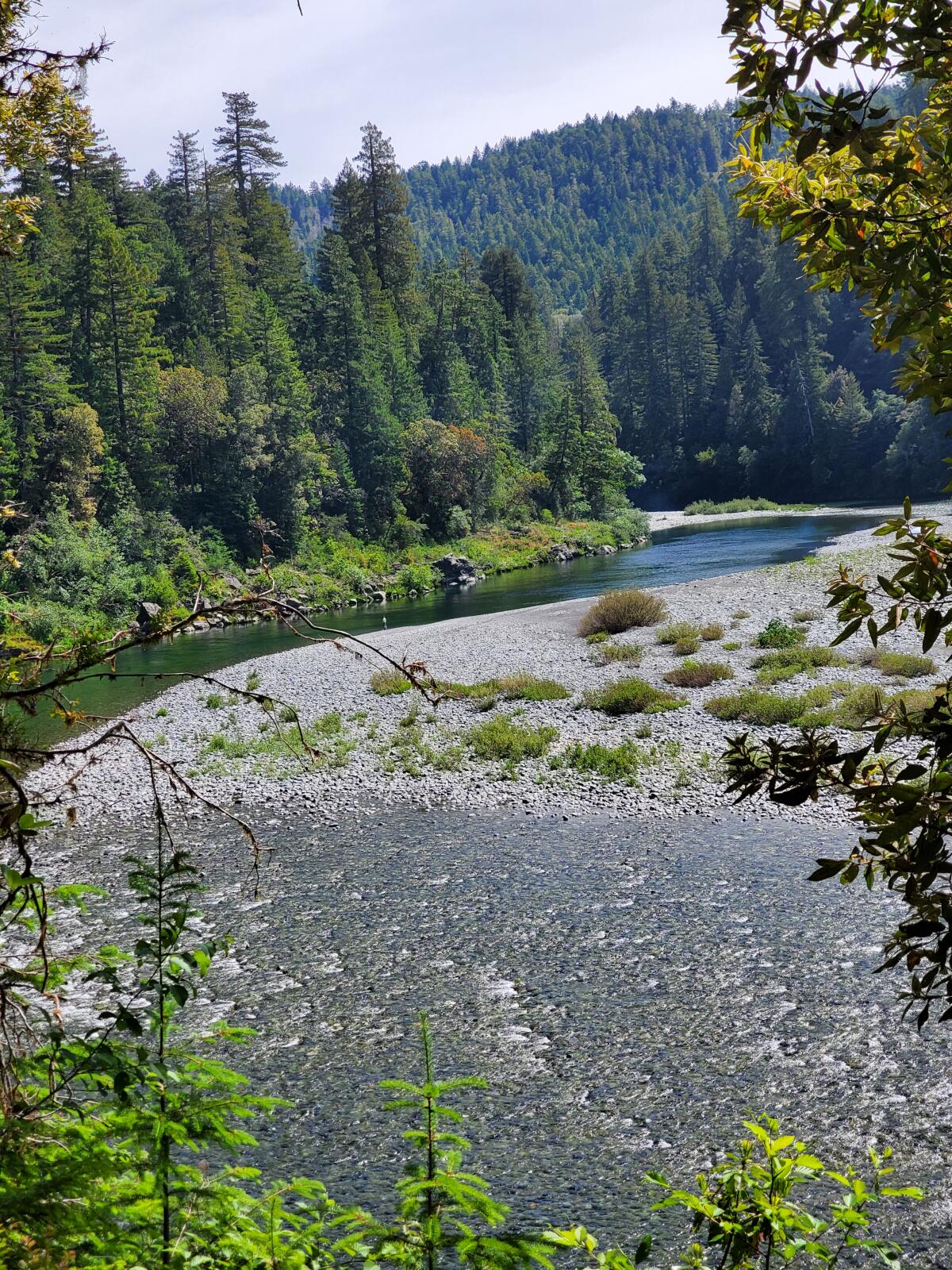 The Smith River in Jedediah Smith Redwoods State Park.