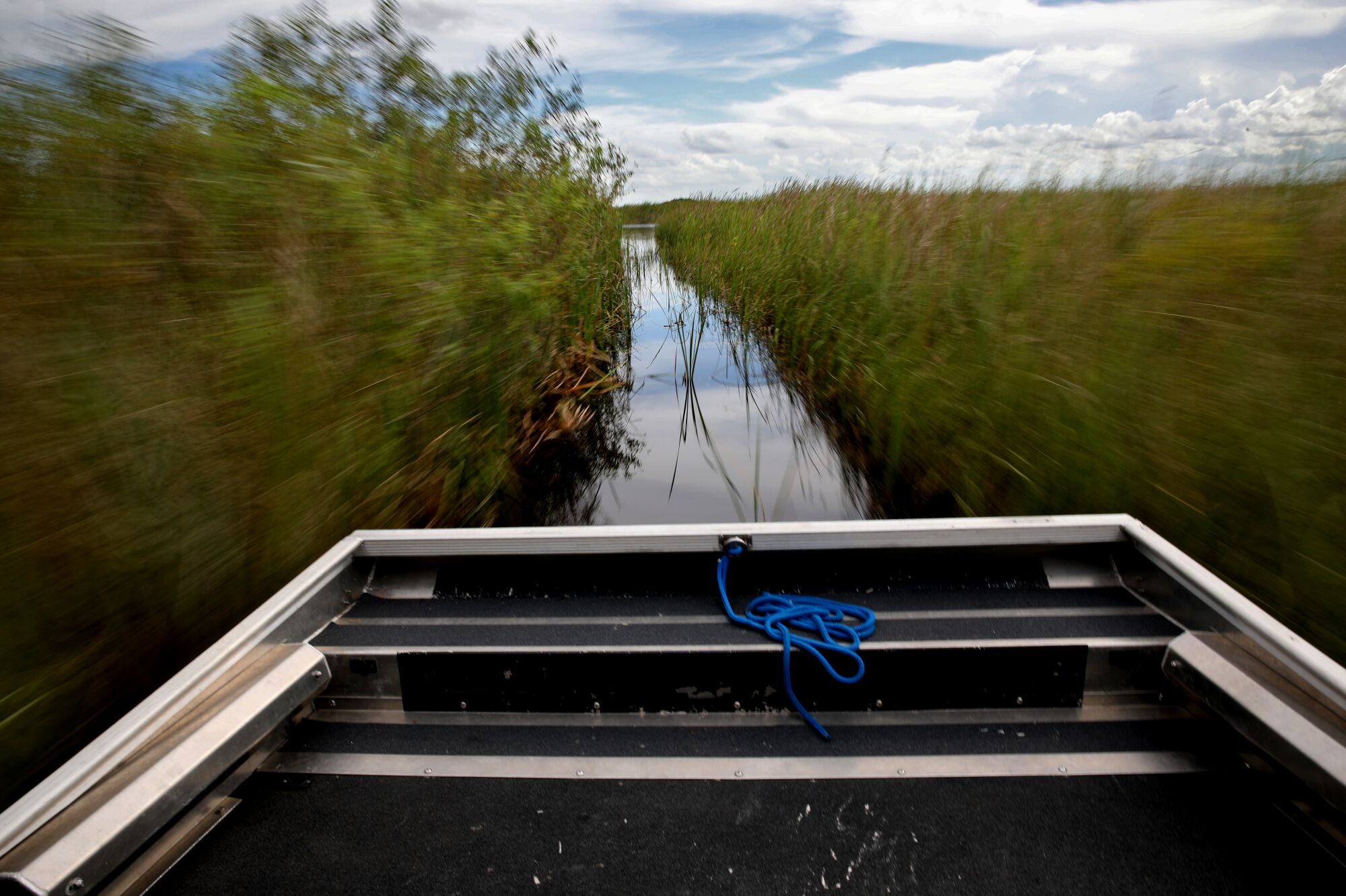 A python hunter pilots his airboat through the Everglades.