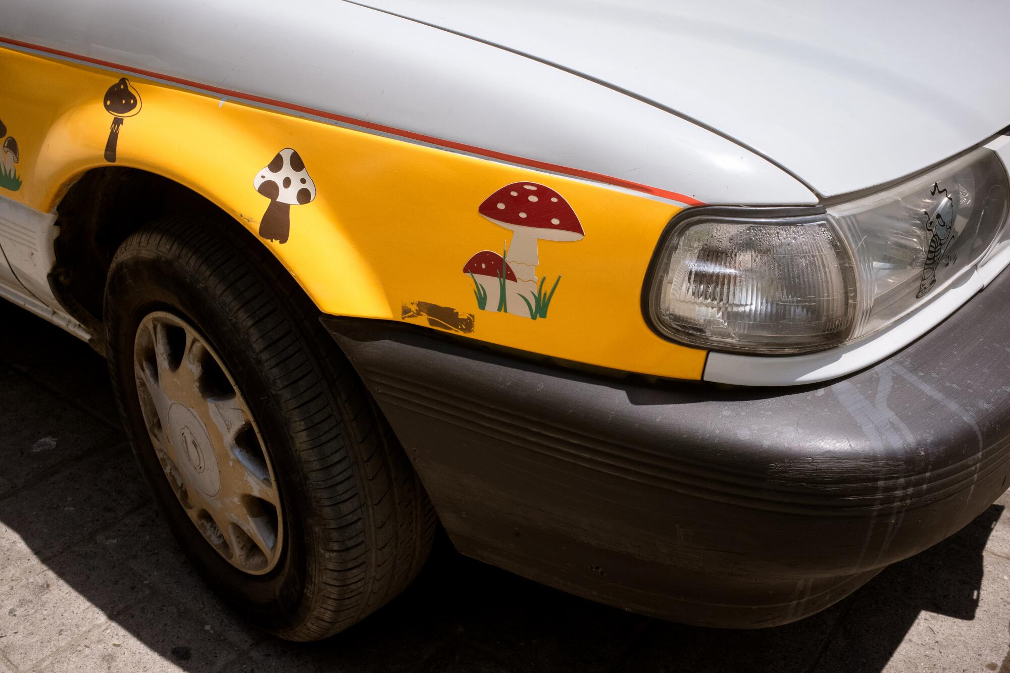 A local taxi in Huautla de Jimenez displays mushroom stickers, ble