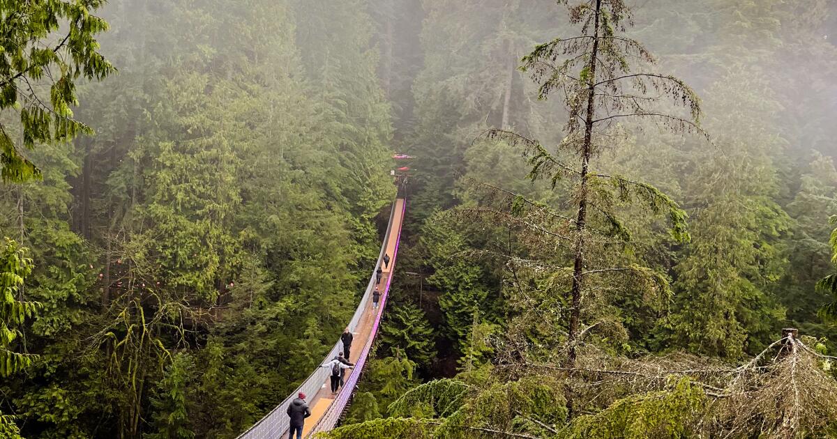 14 ótimas coisas para fazer em Vancouver