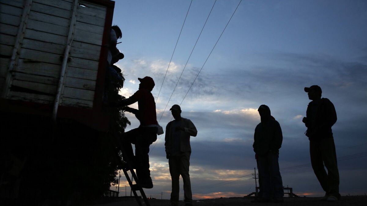 Farm workers climb aboard a truck that will take them to pick crops in Mexico's Sinaloa state in 2014.