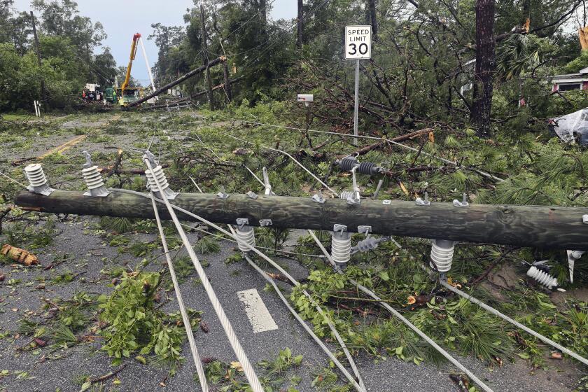 Cuadrillas de trabajadores retiran postes quebrados y cableado eléctrico derribado por los fuertes vientos, en una calle de Tallahassee, Florida, el viernes 10 de mayo de 2024. (AP Foto/Phil Sears)
