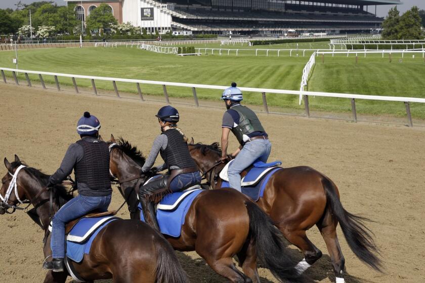 Riders workout with horses at Belmont Park in Elmont, N.Y., Thursday, June 6, 2019. The 151st Belmont Stakes horse race will be run on Saturday, June 8, 2019. (AP Photo/Seth Wenig)
