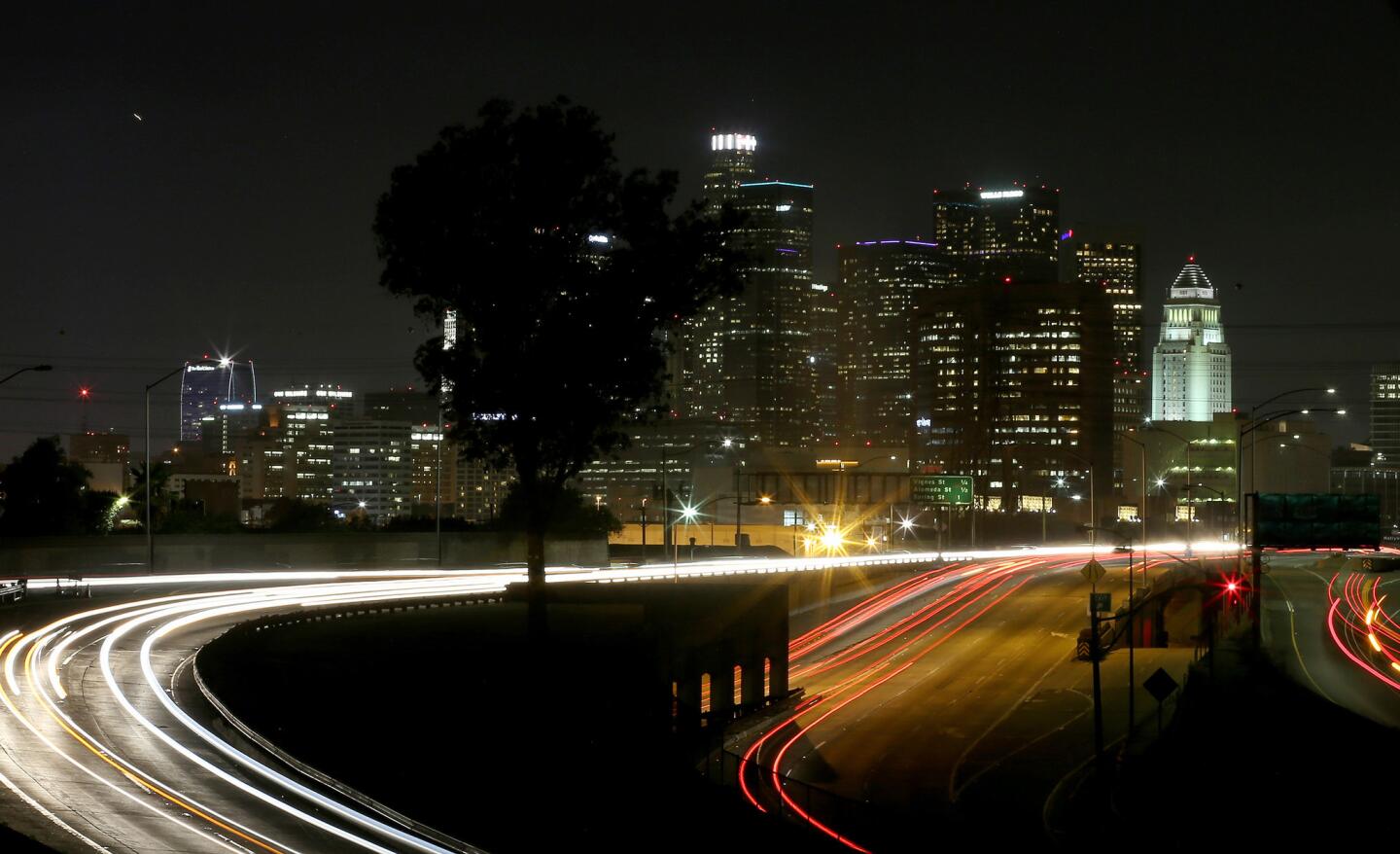 Framed by the streaming lights of passing motorists, a tree grows in a median where freeways meet east of downtown Los Angeles.