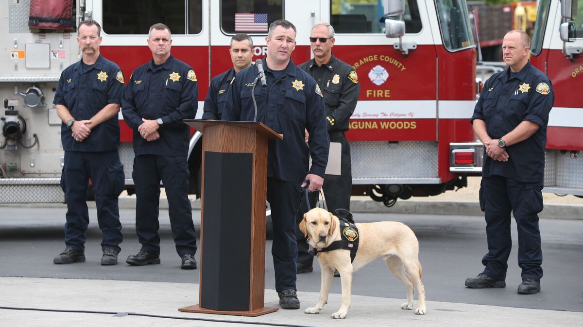 Capt. Shaun Miller taks about the newest addition to the OCFA alson investigation team, Freedom, who is trained to detect fire accelerants much faster and efficiently than a human.