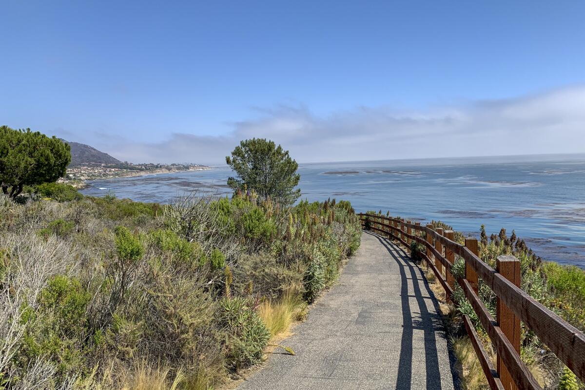 The Shell Beach bluff trail at Avila Beach, with the ocean alongside.