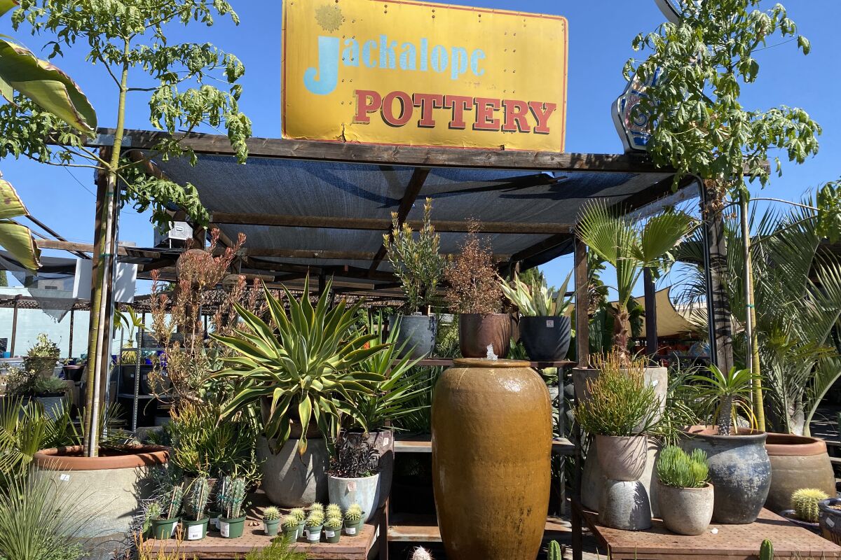 A sign on a canopy reads "Jackalope Pottery" with many plant-filled pots underneath the canopy.