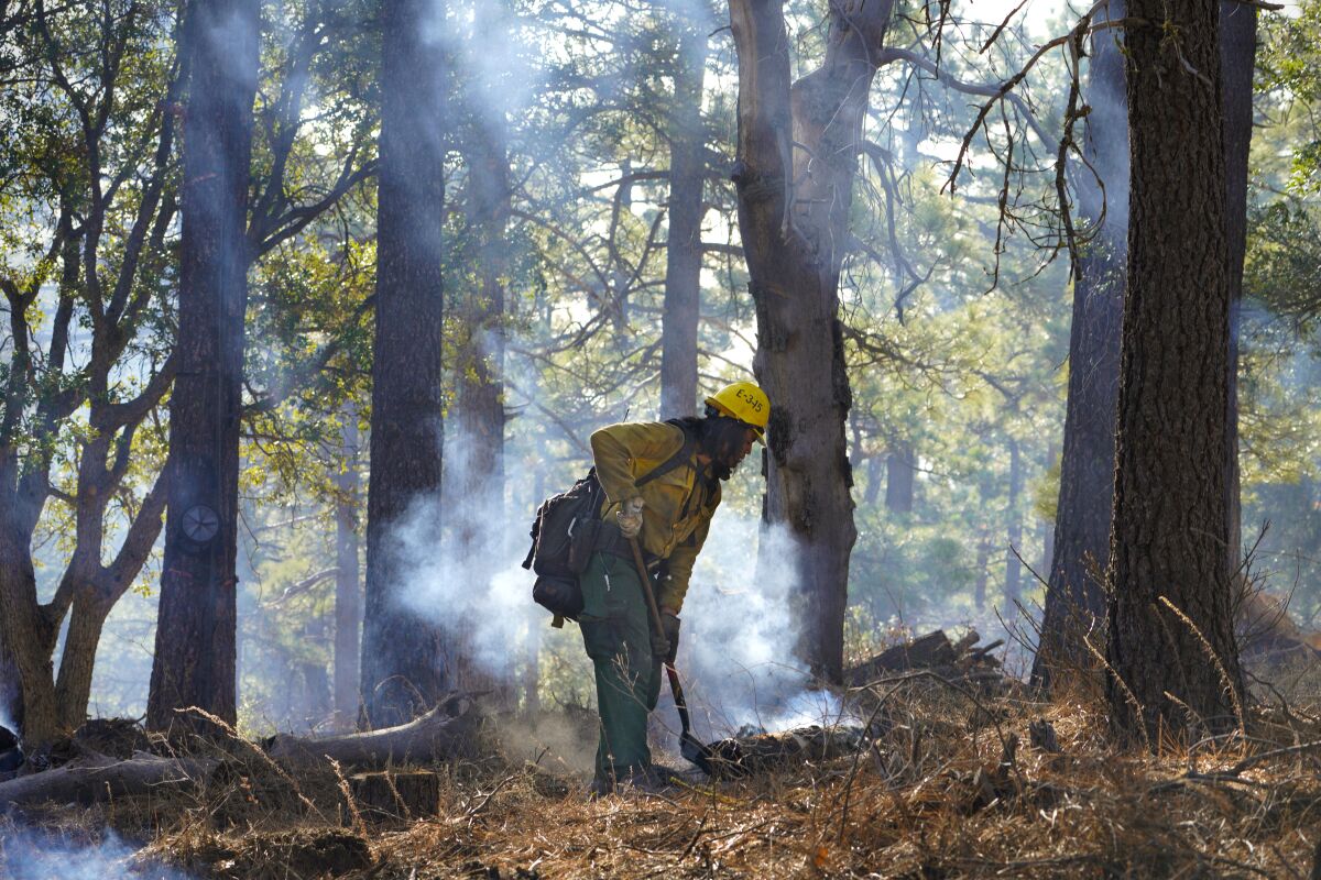 A firefighter inspects the site of a day-old prescribed burn