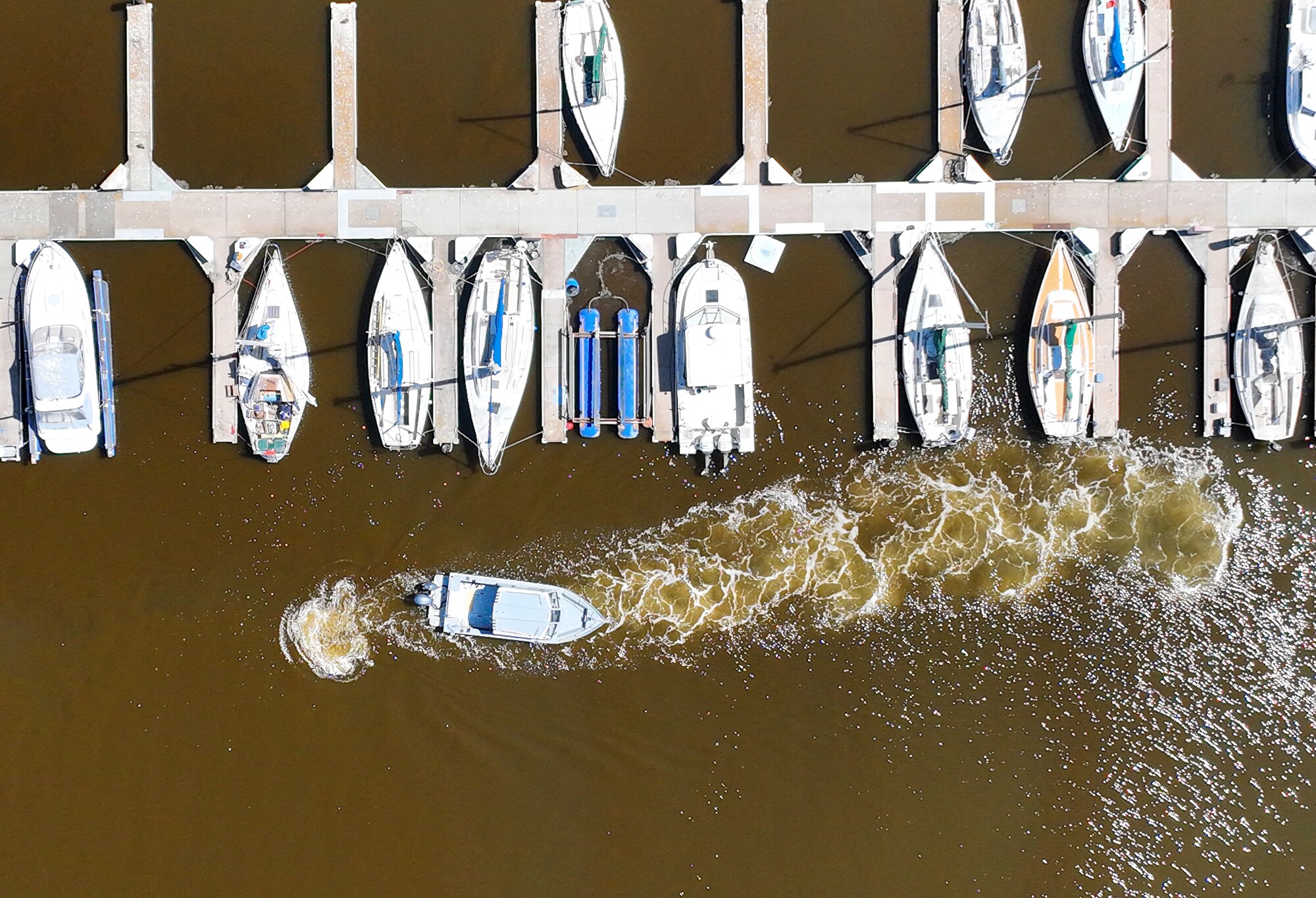 Brownish water from an algae bloom at the Berkeley Marina
