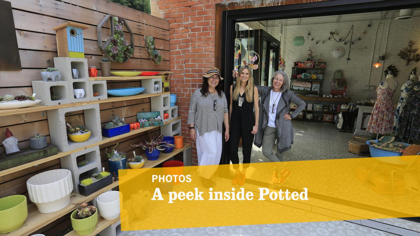 Potted co-owners Mary Gray, right, and Annette Goliti Gutierrez, left, and Lazybones manager Ashlee Headlee in Santa Monica.