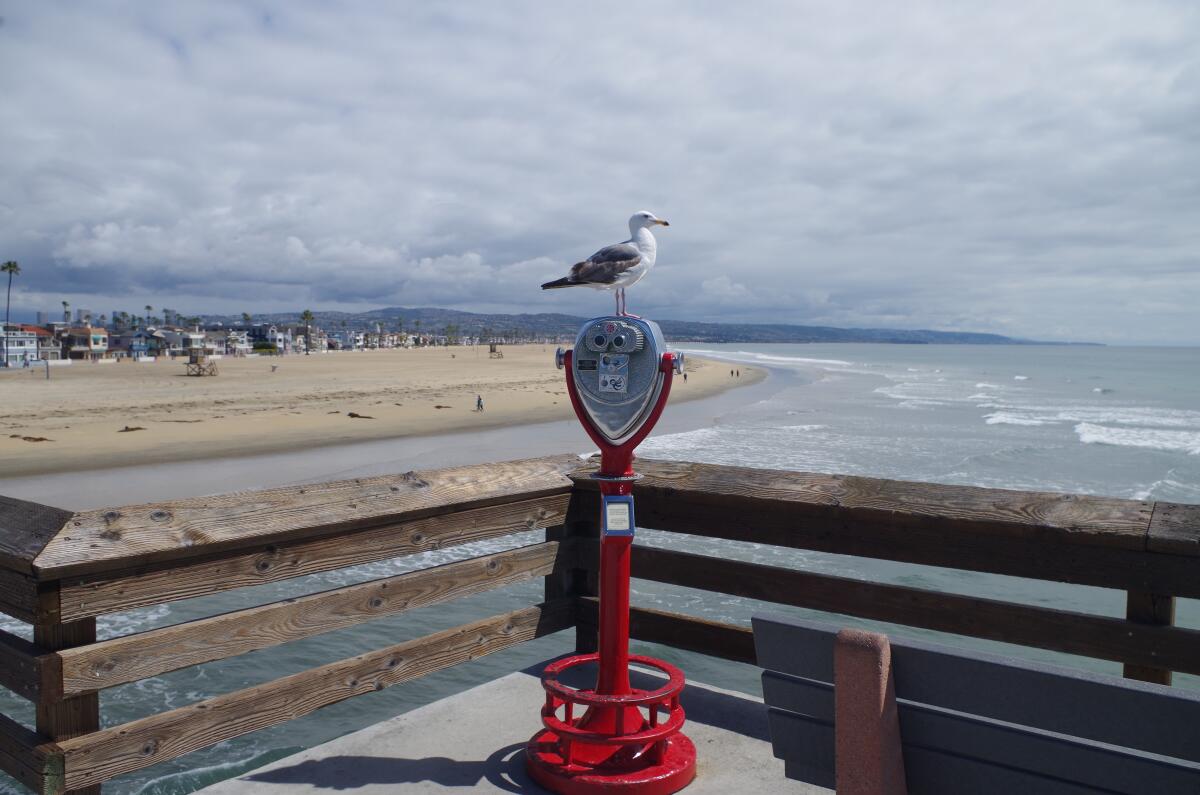 Few people are on the sand in Newport Beach near Newport Pier on March 24.