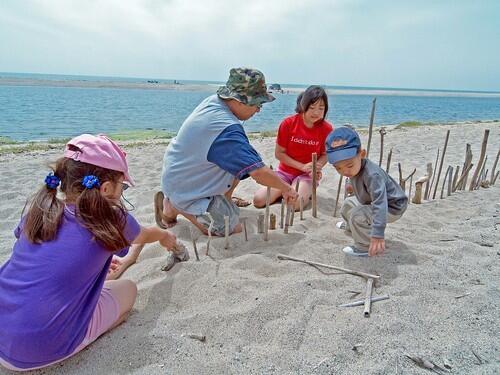 CHILDS PLAY: McGrath State Beach near Oxnard has 174 ocean-adjacent campsites, as well grassy areas for tossing a ball or having a picnic. But leave your kite at home  it upsets the least terns, which are among the many bird species here.