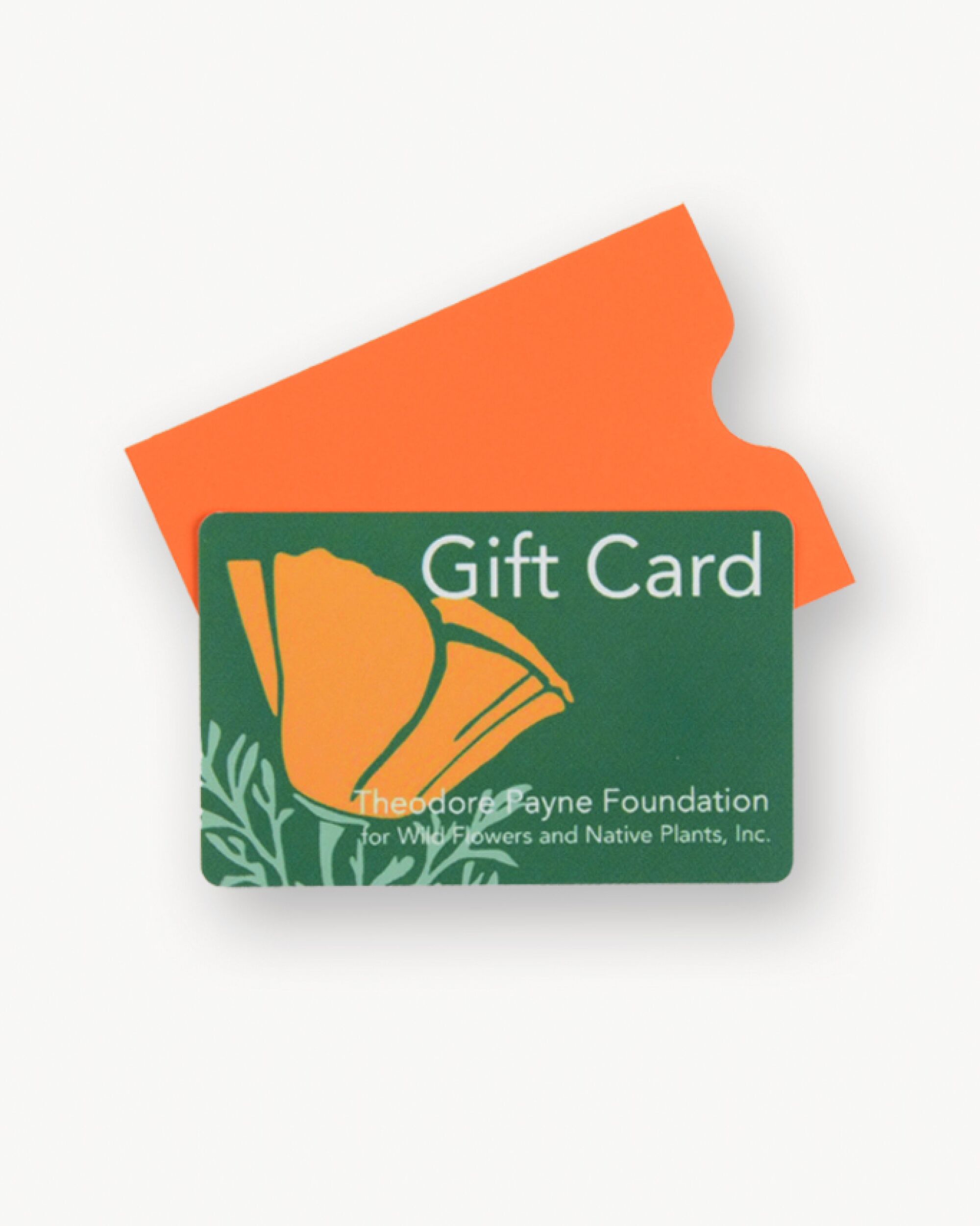A Theodore Payne Foundation gift certificate