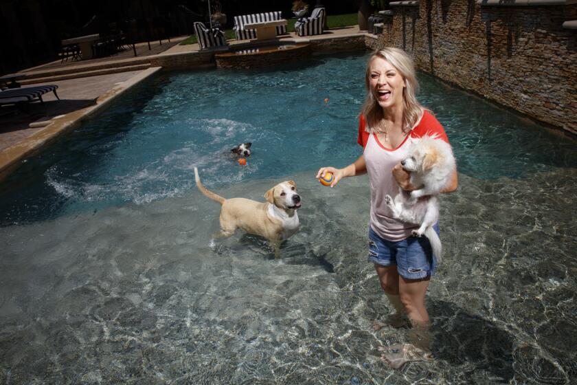 Actress Kaley Cuoco is shown with her three dogs, Ruby, in arms, Norman, left, and Shirley, in background, in her Tarzana pool on Aug. 7.