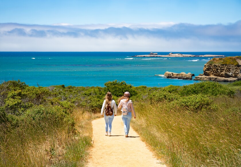 Witnessing The Noisy Spectacle Of Elephant Seal Breeding Season - The San Diego Union-Tribune 2 Two women walk on a sandy path at Año Nuevo State Park with the bright blue ocean in front of them.