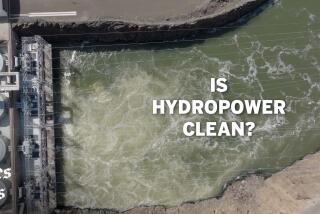 But when dams threaten natural rivers and fish, can hydropower really count as clean?