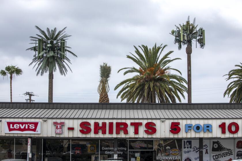GARDEN GROVE, CA - MAY 10: Date palm cell towers- the two taller structures- frame real palms behind a business on Harbor Blvd. on Monday, May 10, 2021 in Garden Grove, CA. (Brian van der Brug / Los Angeles Times)