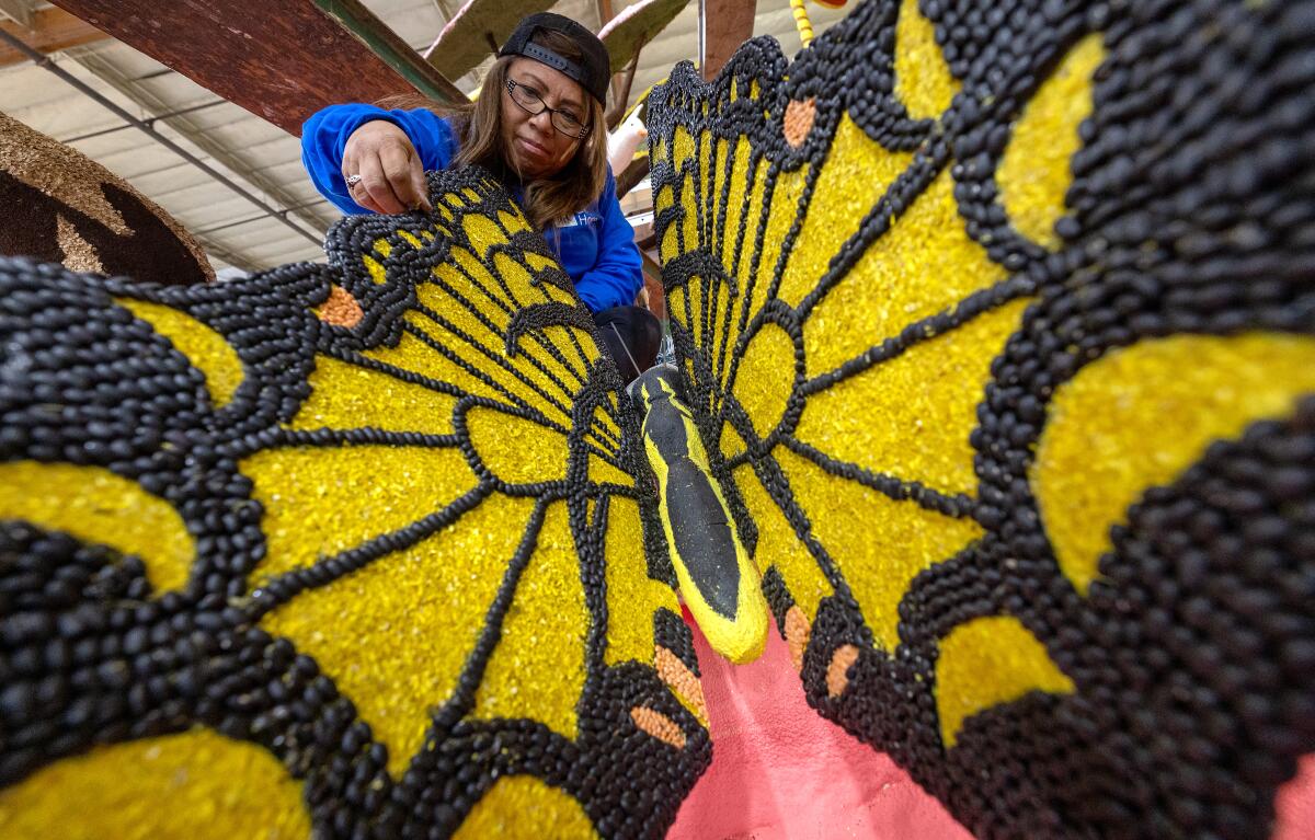a woman glues black beans on a giant yellow and black butterfly