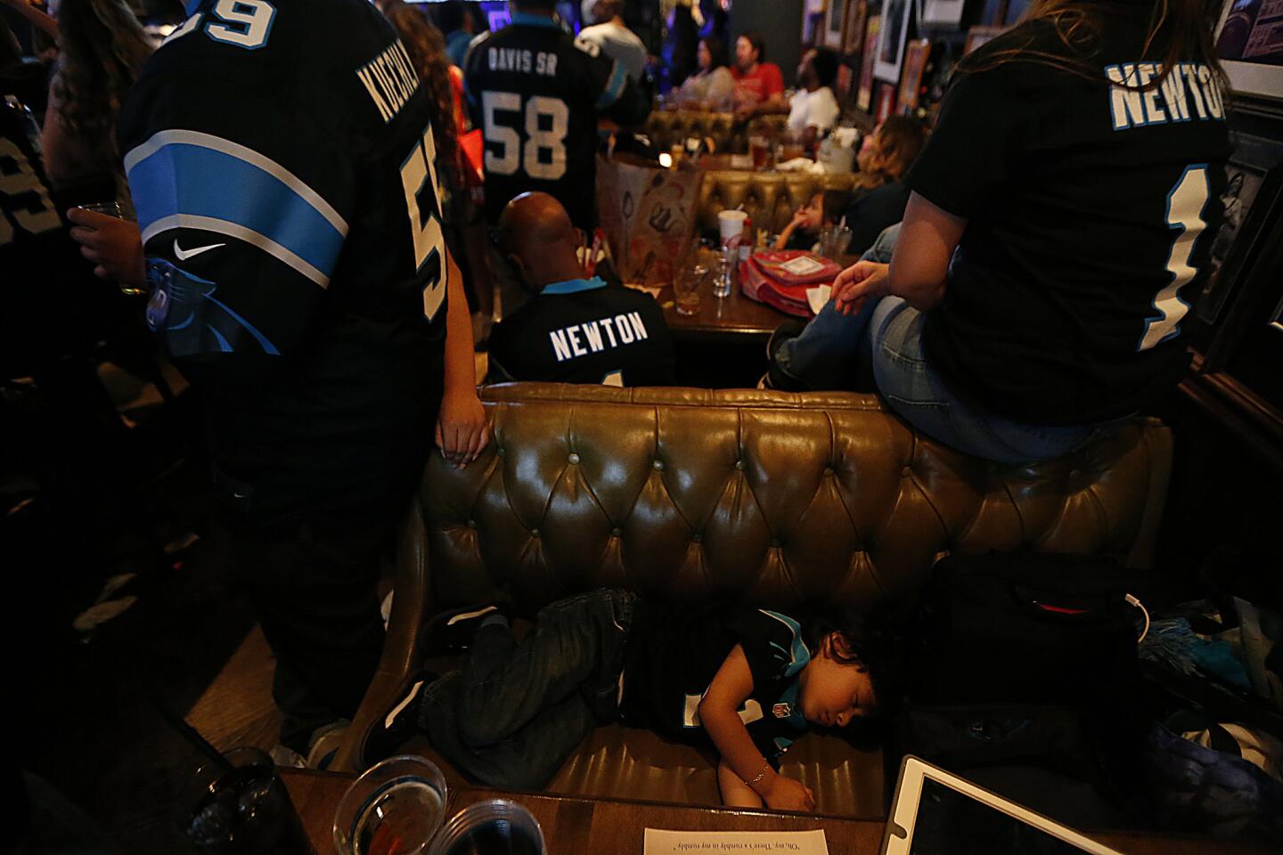 Panthers fans