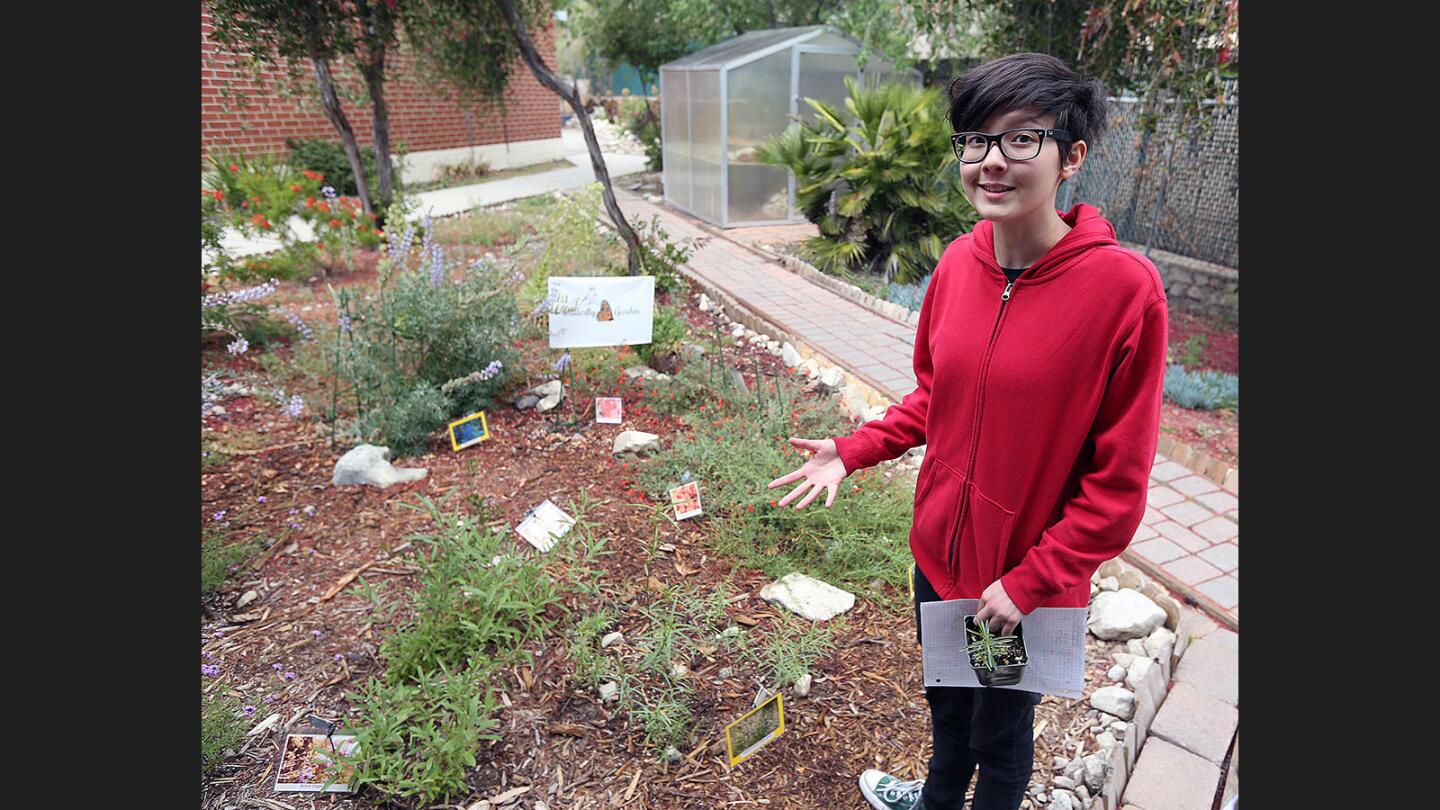 Photo Gallery: 8th grade student plants butterfly garden at Rosemont Middle School