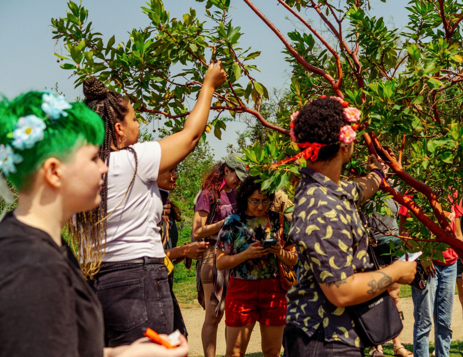 Taking up space in nature is liberating. 'We look like this,' say L.A.'s queer plant lovers