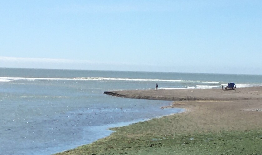 bolinas coast.jpg