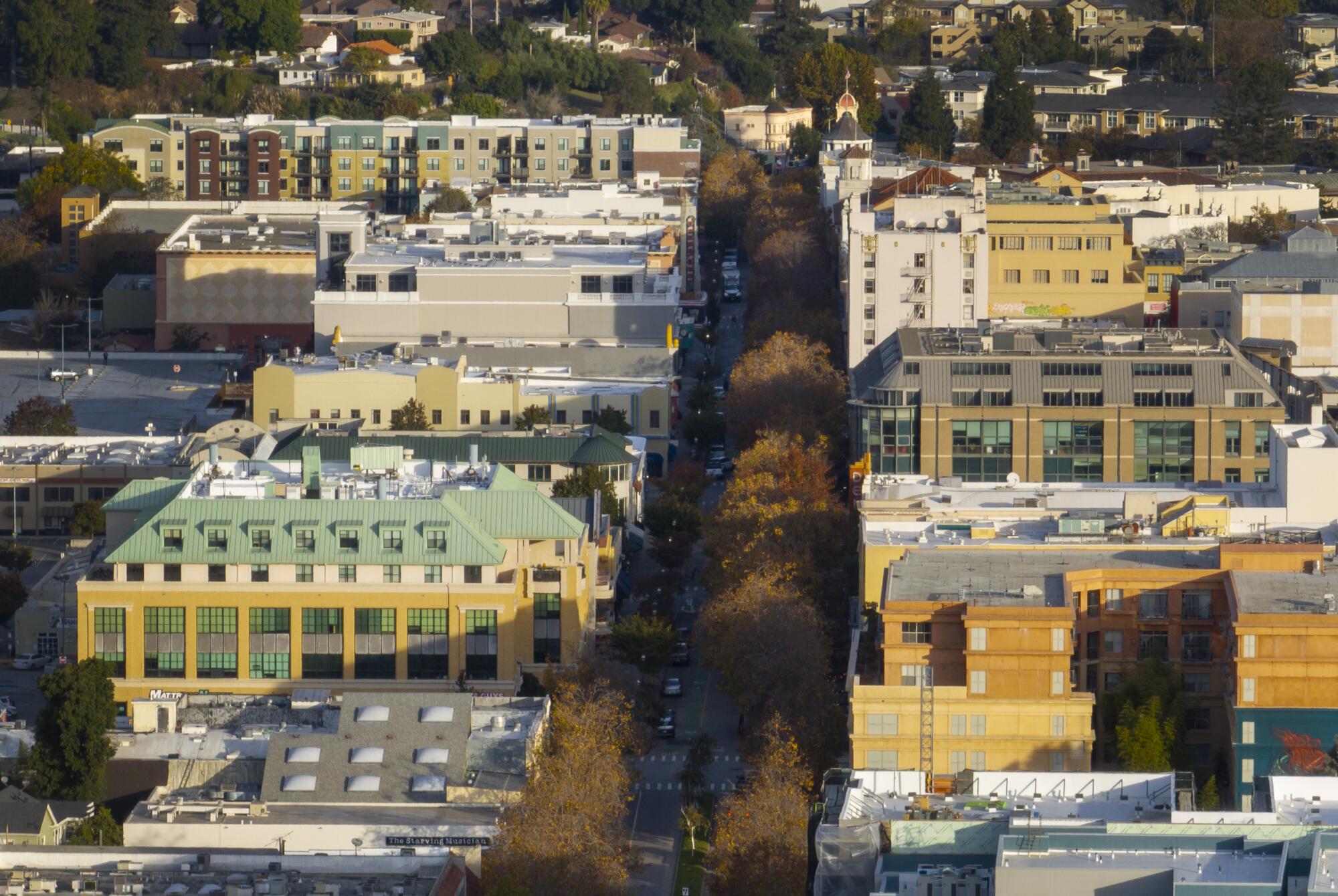Aerial view of tree-lined Pacific Avenue