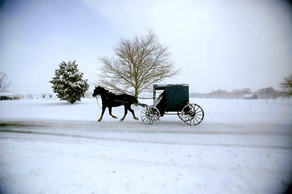 An Amish buggy traverses the snow in St. Mary's County, Md. The Washington, D.C., area was hit with a major storm, with southern Maryland receiving the worst of it, with 8 to 10 inches of snow.
