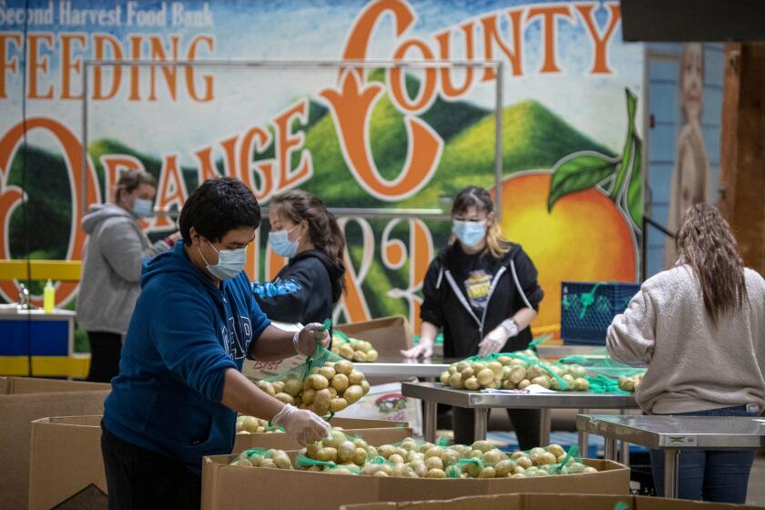 IRVINE, CA -- WEDNESDAY, APRIL 1, 2020: Jose Secundino, center in blue sweatshirt, joins fellow recently hired Second Harvest Food Bank of Orange County temporary employees, who have been laid off from restaurant jobs due to the coronavirus pandemic, as they pack boxes of food for the needy. Volunteers then picked up the food and delivered it to local senior centers in Orange County. Photo taken at Second Harvest Food Bank at the Orange County Great Park in Irvine, CA, on April 1, 2020. (Allen J. Schaben / Los Angeles Times)