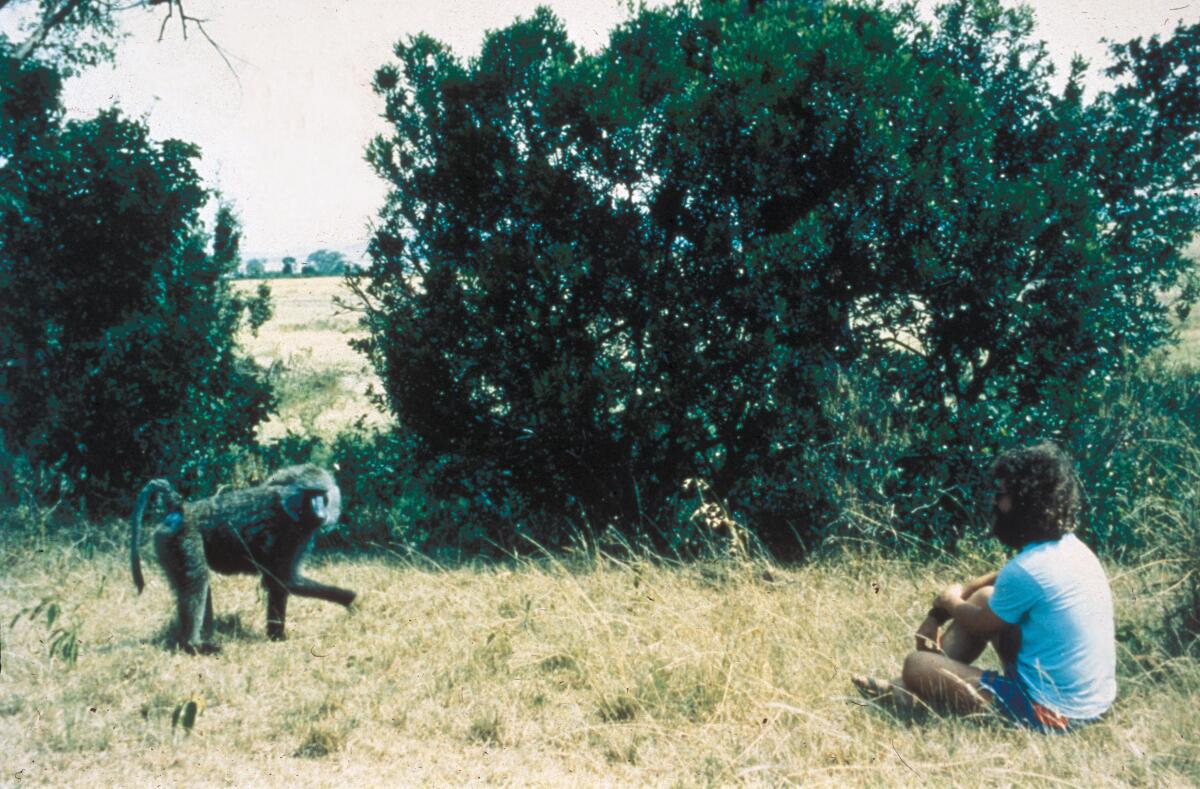 A man, right, sitting on dry grass faces a baboon near trees
