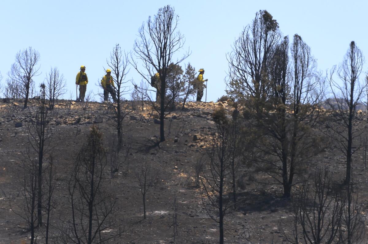Fire crews continue a mop-up operation in the Peeples Valley area, about five miles from Yarnell, Ariz., where the 19 firefighters died.