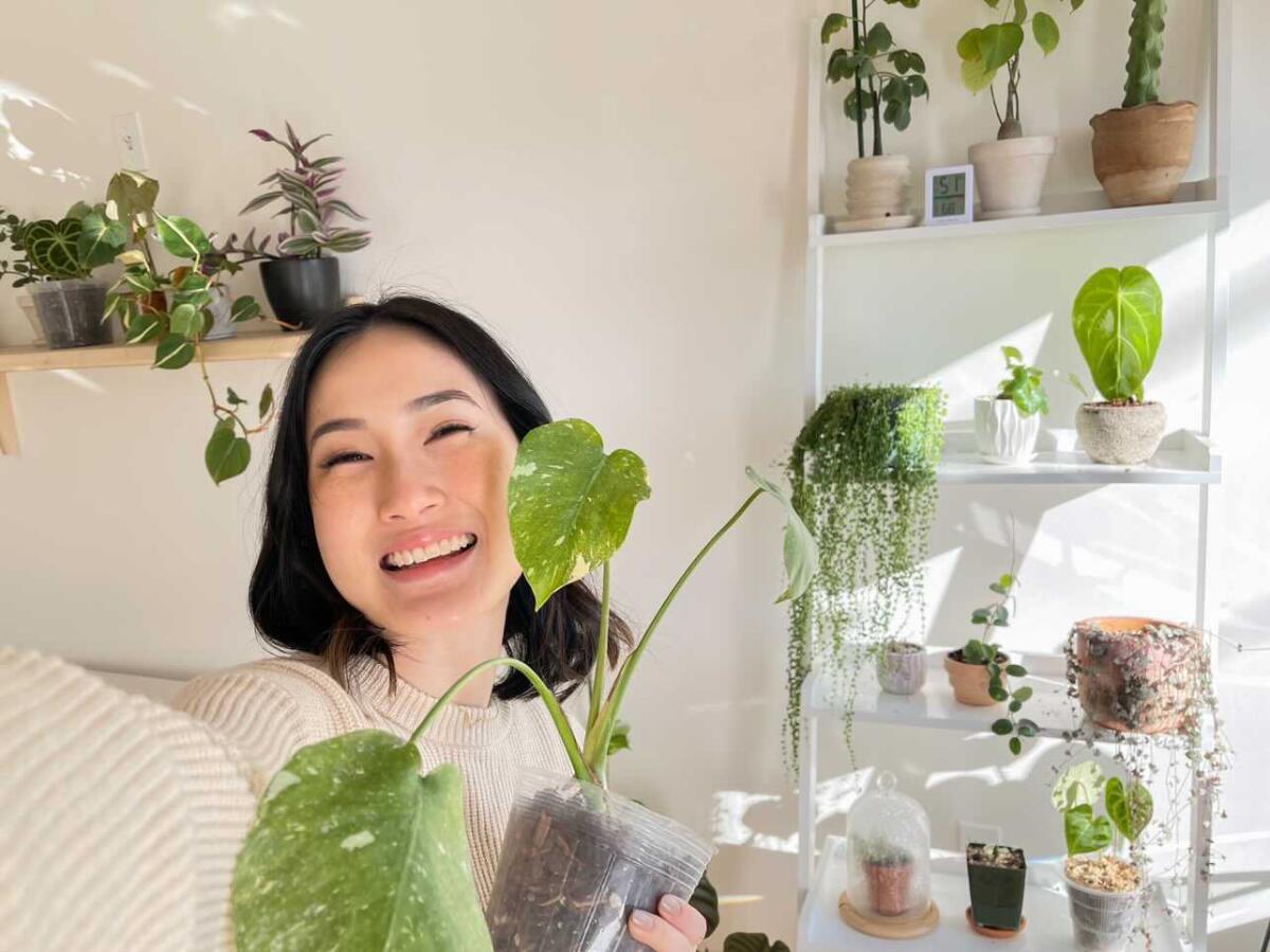 Amanda Lim with her plants at a sunny window