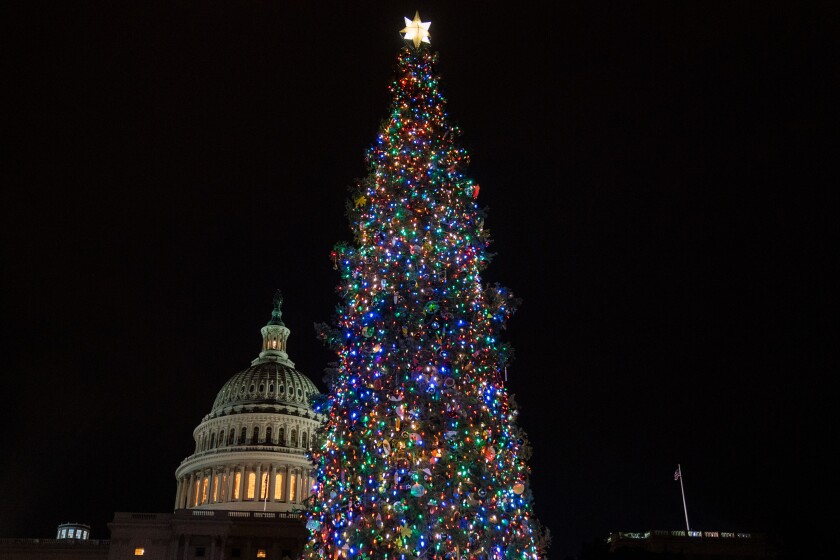 A Christmas tree with multicolored lights against a dark sky, with the U.S. Capitol dome in the background
