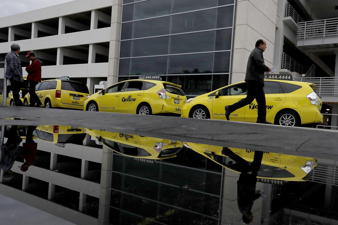 Cab drivers wait for riders at the Long Beach Airport.