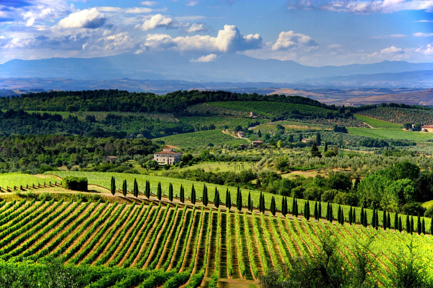 The rolling hills and verdant fields of Chianti are a sight to behold from any vantage point, but by motorcycle the countryside becomes a landscape of the senses.