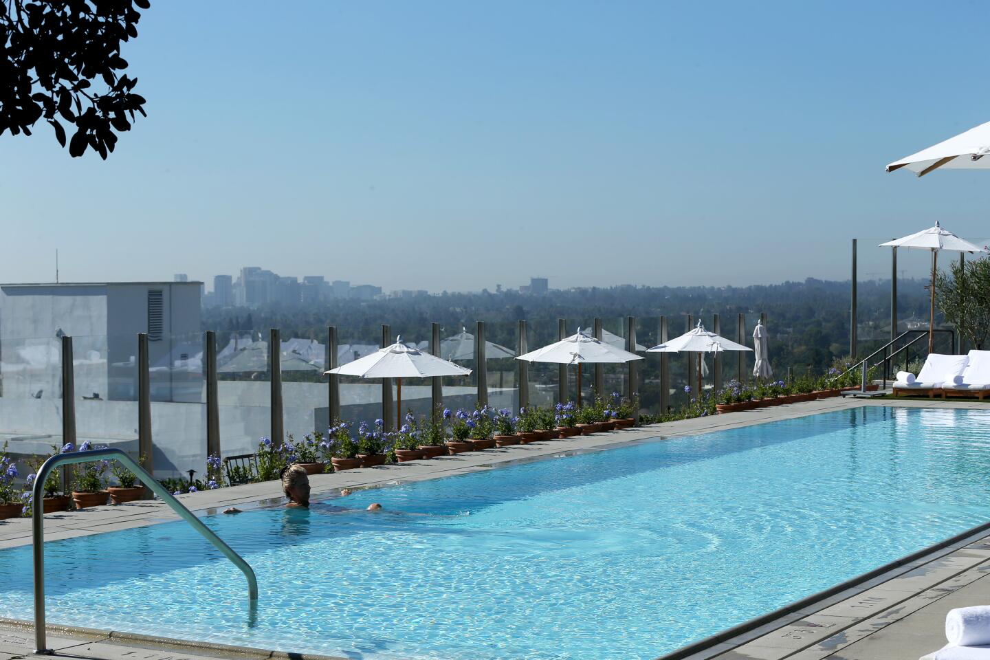A rooftop pool at the new Edition hotel in West Hollywood, Calif.