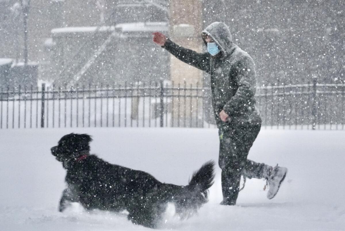 A man plays with his dog in the snow in Pittsfield, Mass.