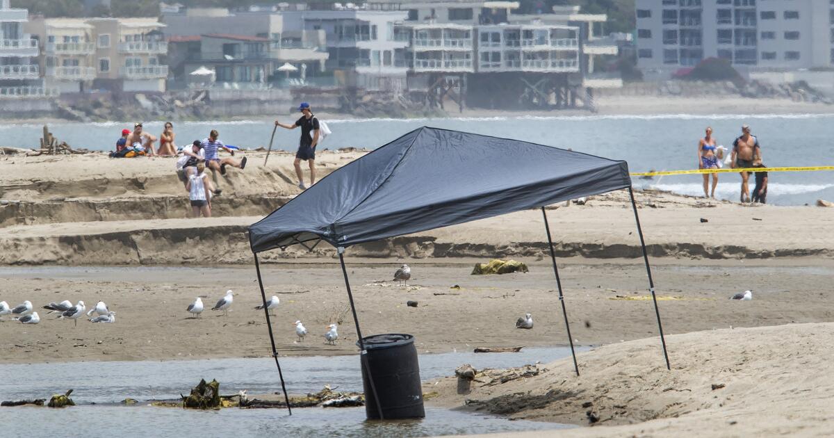 Suspect in Malibu Lagoon killing charged with second murder