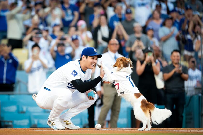 LOS ANGELES, CALIFORNIA - AUGUST 28: Decoy, right, high fives his owner Shohei Ohtani #17 of the Los Angeles Dodgers after he carries out the first pitch before the game against the Baltimore Orioles at Dodger Stadium on Wednesday, Aug. 28, 2024 in Los Angeles, California.(Wally Skalij / Los Angeles Times)