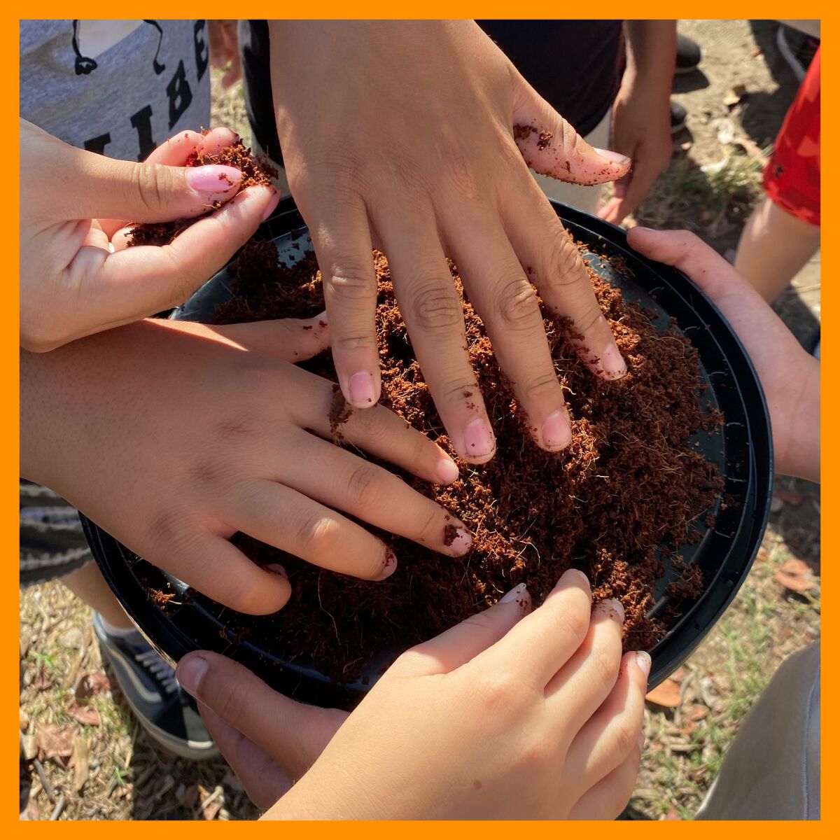 A group feels a pile of fresh compost