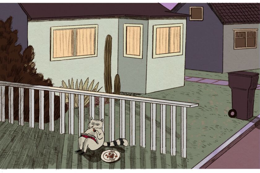 Illustration of a raccoon sitting by a fence, snacking from a plate and reading a book.