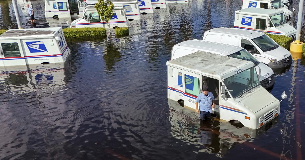 Trump'tan bağımsız olarak iklim değişikliğine karşı mücadele artıyor
