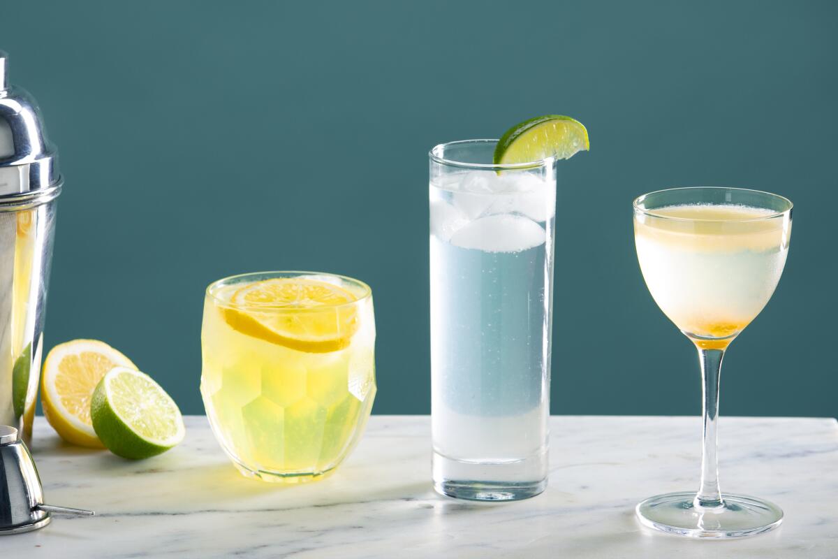 Gin and Tonic Recipe - NYT Cooking