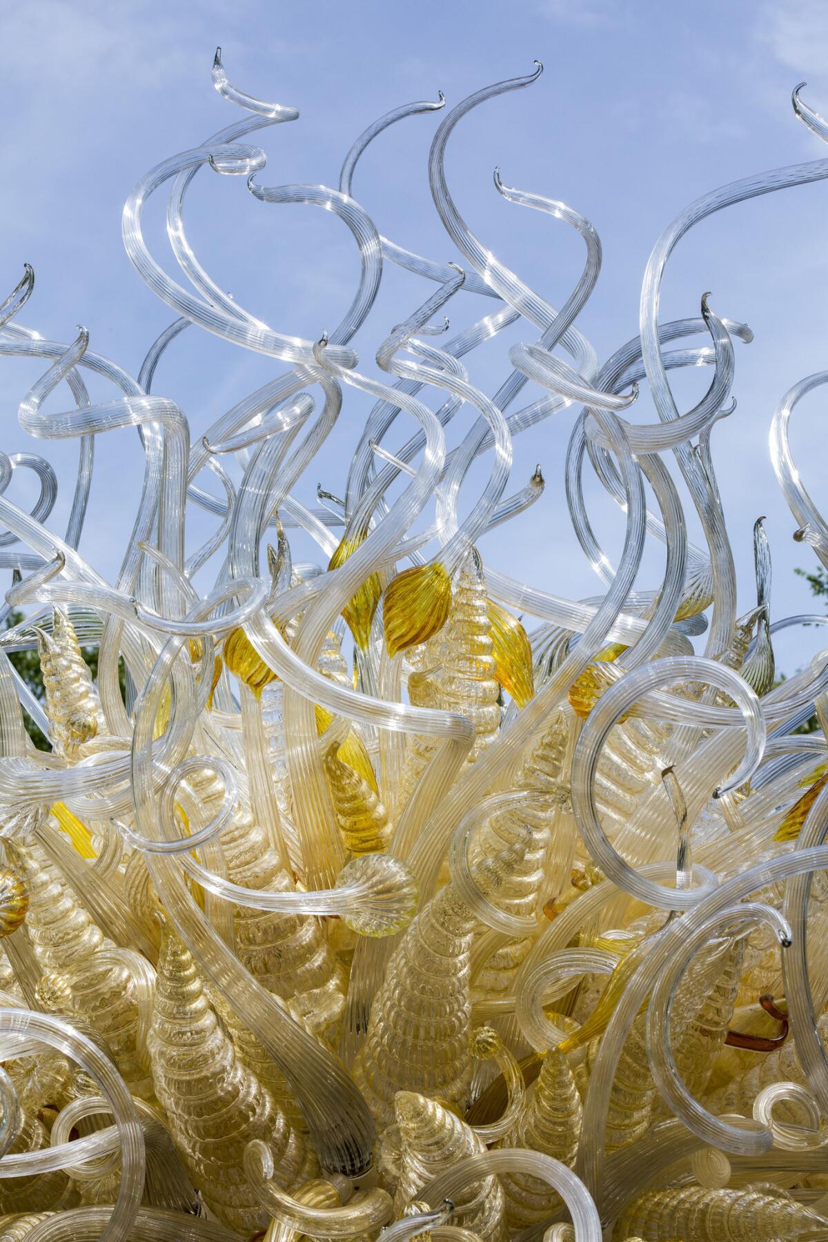 "Sole d'Oro" (Golden Sun), made of 1,300 hand-blown pieces, was created for the Chihuly in the Forest exhibition at Crystal Bridges Museum of American Art. (Scott Mitchell Leen / Chihuly Studio)