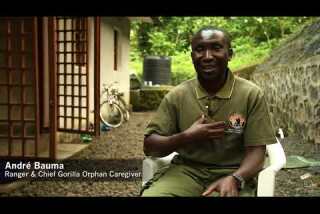 Protecting gorillas and more in Congo's Virunga National Park