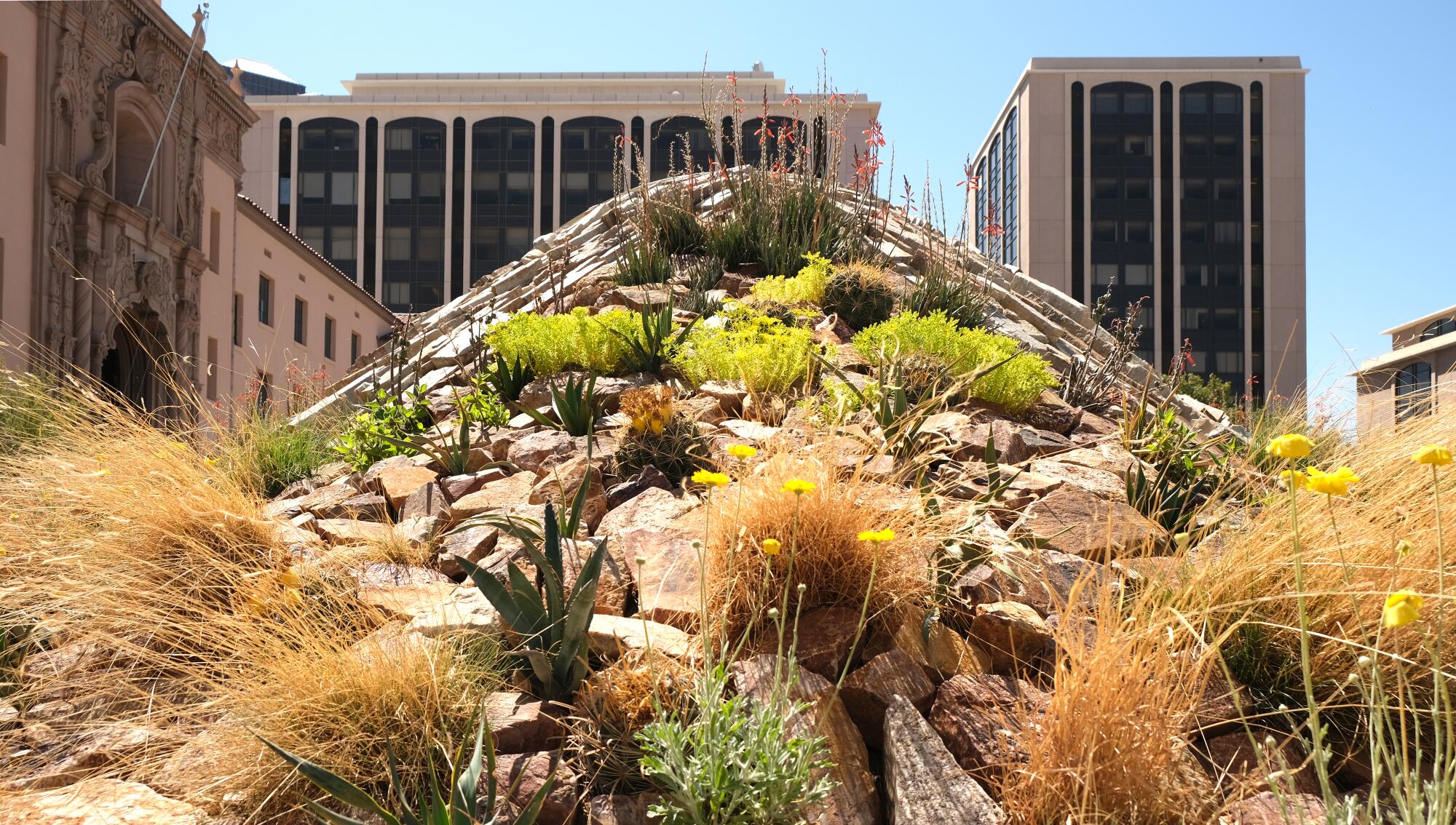 A berm made of quartzite rock features a riot of flowering plants, grasses and aloes.