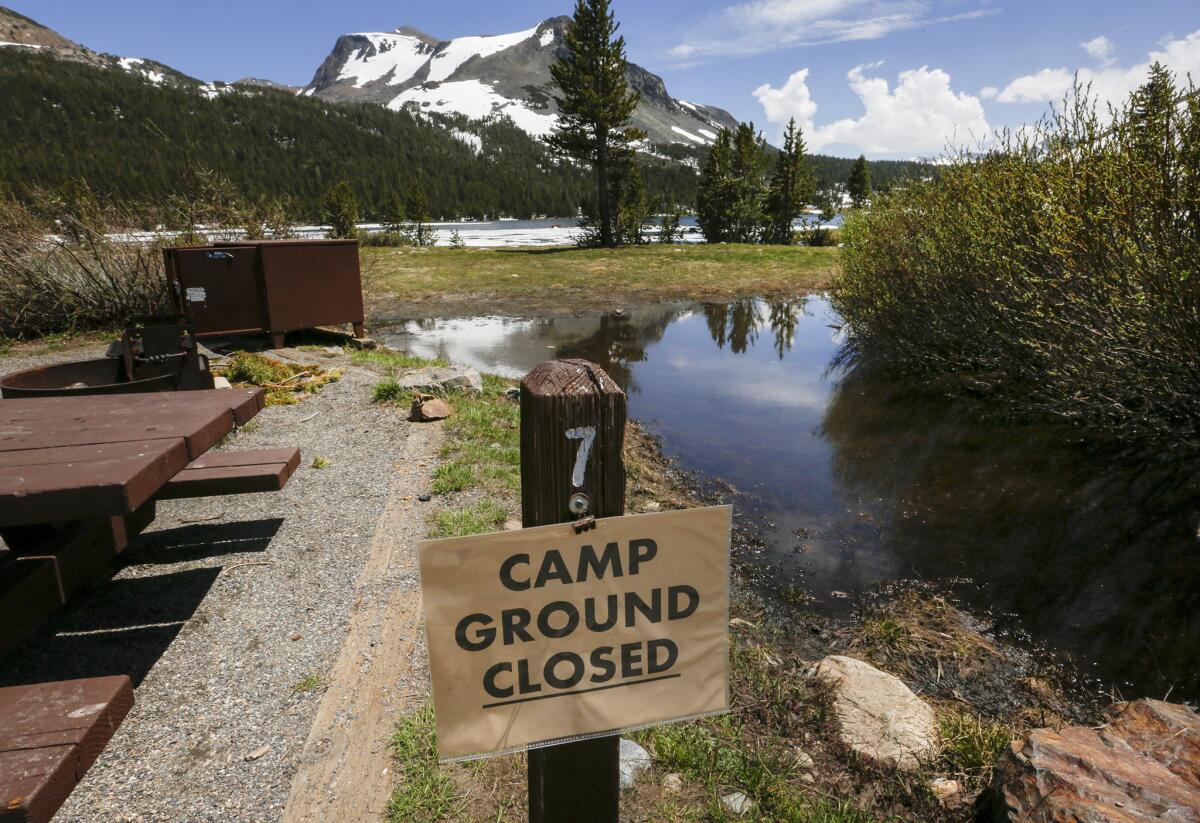 Many of the campsites in the Tioga Campground are still flooded and the roads in and out are still blocked by snow off Hwy 120.